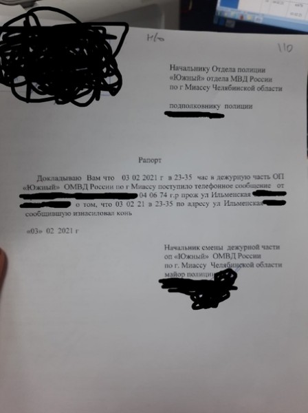Очевидное-невероятное: конь изнасиловал горожанку