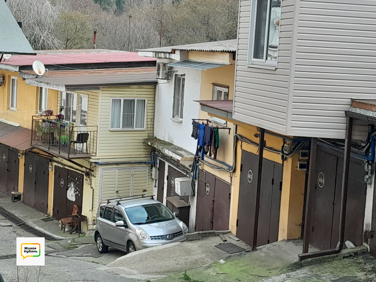 Фото: Живая Кубань