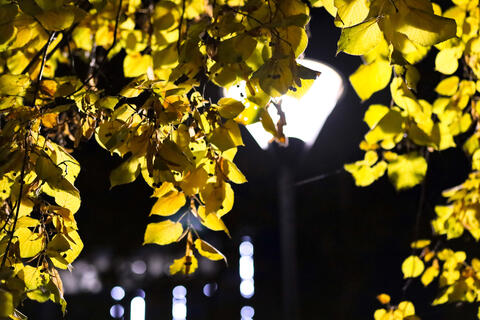 Близнецам стоит приготовиться к непростому периоду, Весам пора завершить начатые дела