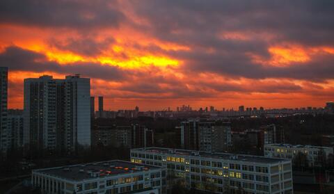 По новому плану США Украина откажется от НАТО, 65 беспилотников прилетело в Россию: что произошло, пока вы спали