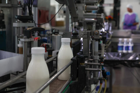 Кубанский маслосырзавод производил и продавал продукты, скрывая истинный их состав