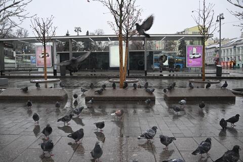 Погода на неделю с 9 по 15 февраля в Краснодарском крае