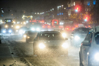 В парке Галицкого в Краснодаре орудуют фотографы с совами, что делать, если нет талонов к врачу: ТОП-5 за 9 февраля