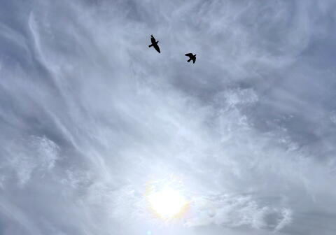 Взрывы вызваны работой ПВО: в Новороссийске и Геленджике беспилотная опасность