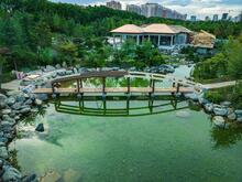 В Краснодаре мошенники продают билеты в японский сад парка Галицкого |  Живая Кубань