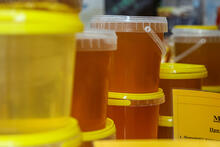 Прозрачный мед и свежие фрукты: в Краснодаре работают ярмарки выходного ...