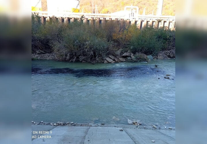 На Кубани вновь обнаружено загрязнение реки