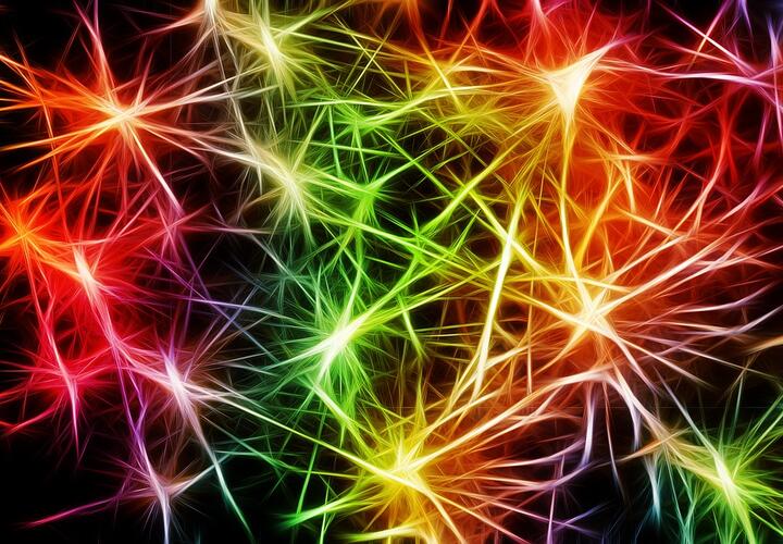 Нервные клетки восстанавливаются, доказали ученые | Живая Кубань
