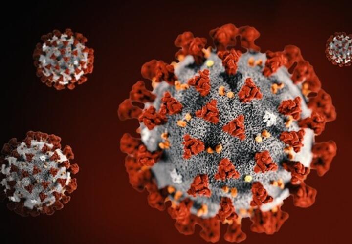 В Краснодаре пройдет брифинг по заболеваемости коронавирусом