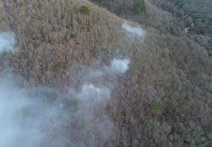 Причиной лесных пожаров на Кубани стал человеческий фактор