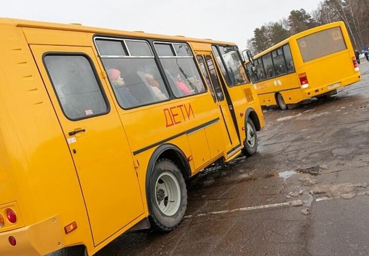 В Краснодаре прокуратура начала проверку после ДТП со школьными автобусами