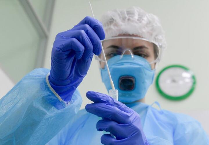 В Краснодарском крае подтверждено 172 новых случая коронавируса