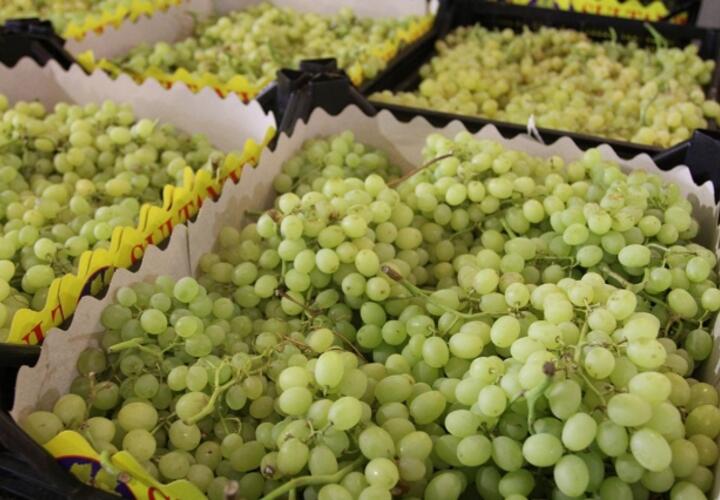 Жителям Кубани не удастся попробовать турецкий виноград