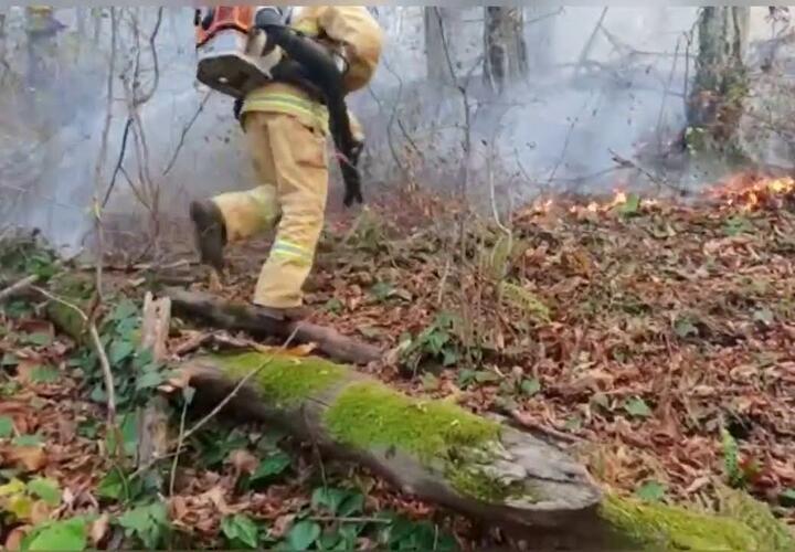 Кубанские спасатели потушили один из лесных пожаров