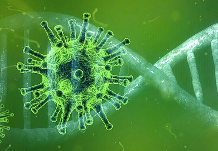 Наличие антител не спасает от коронавируса