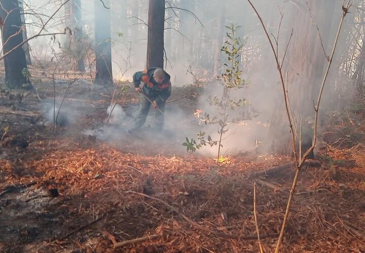 Появилось видео тушения природных пожаров на Кубани