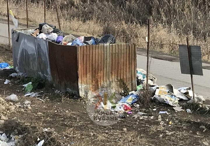 Пожары, крысы, антисанитария: жители станицы в Краснодарском крае стонут от мусорного беспредела