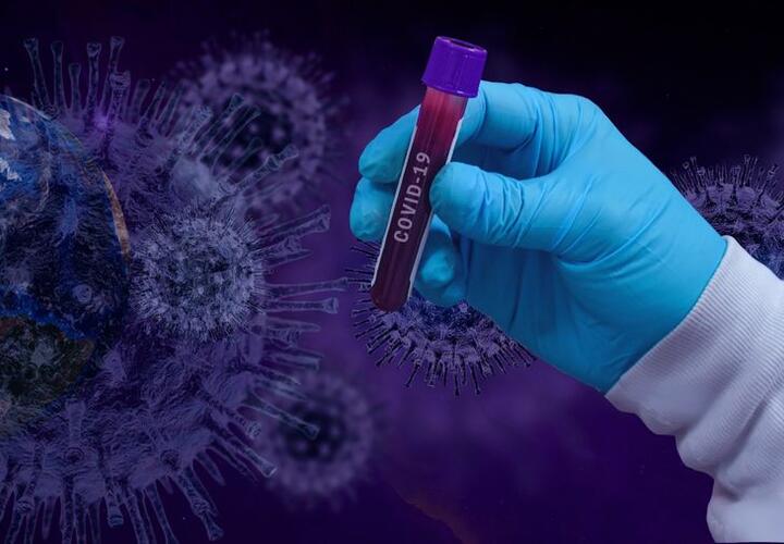Ученые допустили существование «российского» штамма коронавируса
