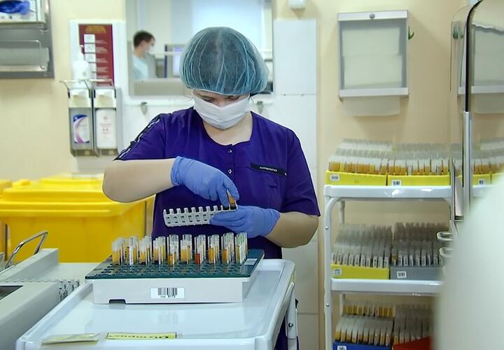 В Краснодарском крае не зафиксированы случаи «британского» штамма коронавируса
