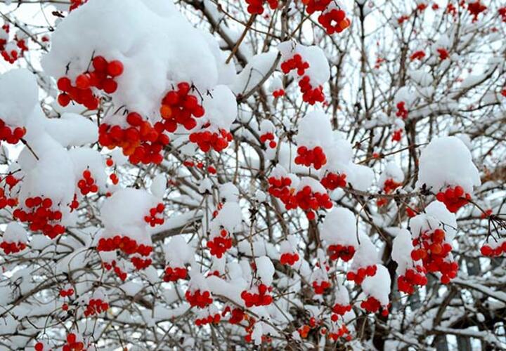 В Краснодарском крае ожидаются дожди и снегопады