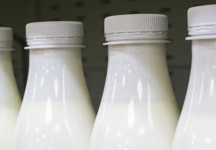В Краснодарском крае задержали партию молока без сертификатов