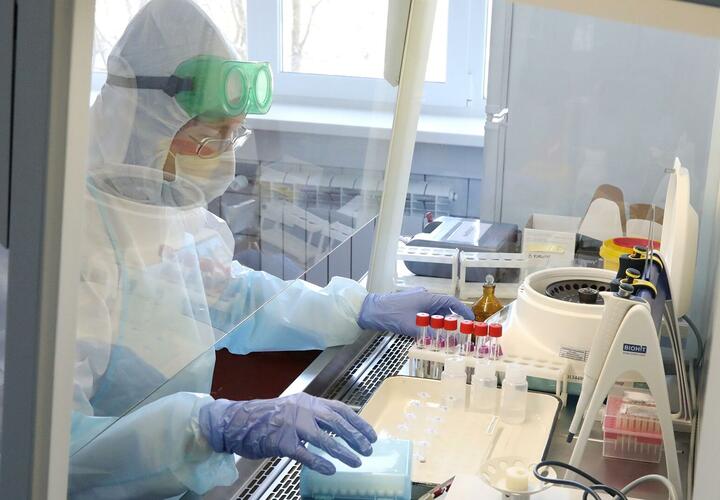 В Краснодарском крае зафиксировано 199 новых случаев коронавируса