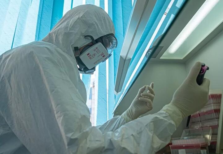 В Краснодарском крае зафиксированы рекордные 200 случаев коронавируса