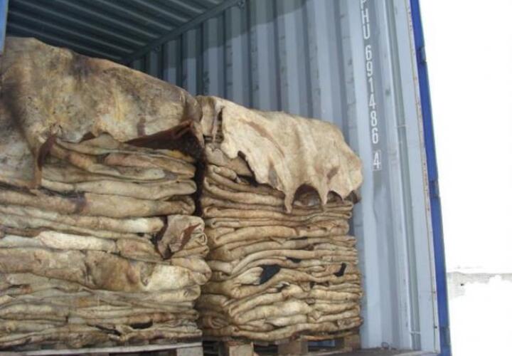 В порту Новороссийска задержано 50 тонн овечьих шкур 