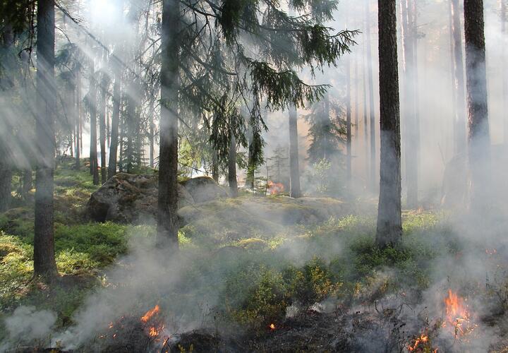 В Сочи продолжают действовать три природных пожара