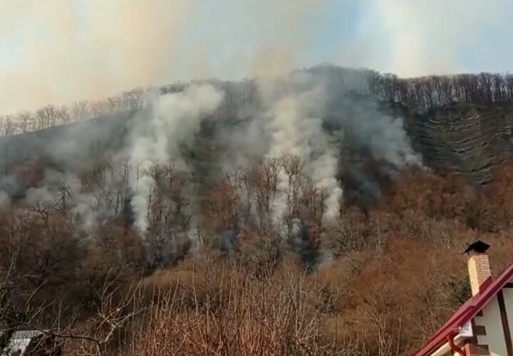 В Сочи удалось потушить все лесные пожары