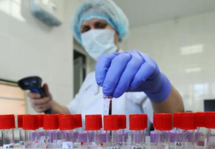 В Краснодарском крае новые случаи коронавируса выявлены в 35 муниципалитетах