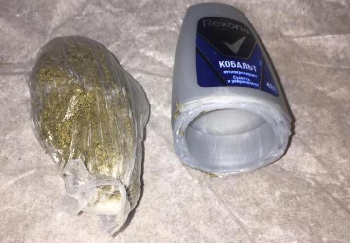 В Краснодарском крае пес нашел наркотики в дезодорантах
