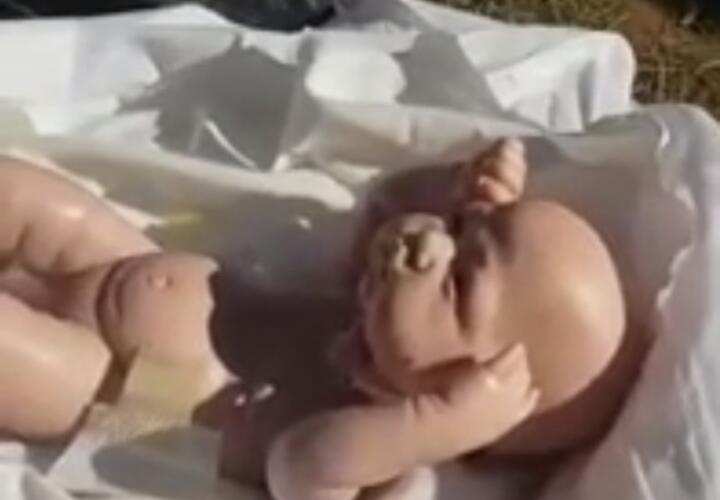 Вместо умерших младенцев родителям подсунули кукол? (ВИДЕО)