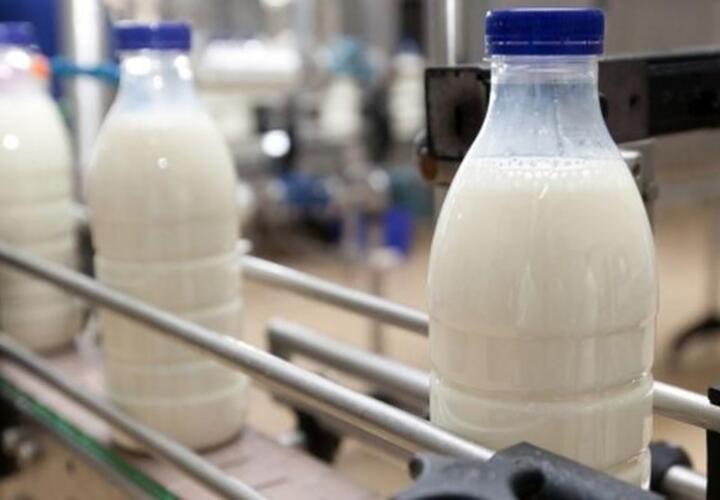 Молокозавод в Краснодарском крае выставили на торги