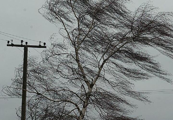 Синоптики рассказали о сильном ветре в Краснодарском крае