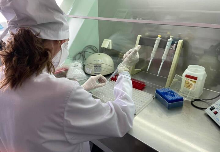 В Краснодарском крае еще 114 человек заболели коронавирусом