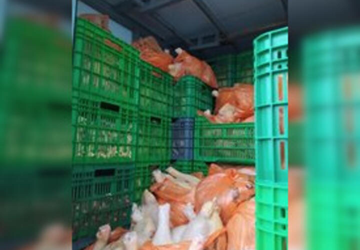 В Краснодарском крае сожгли больше тонны мяса