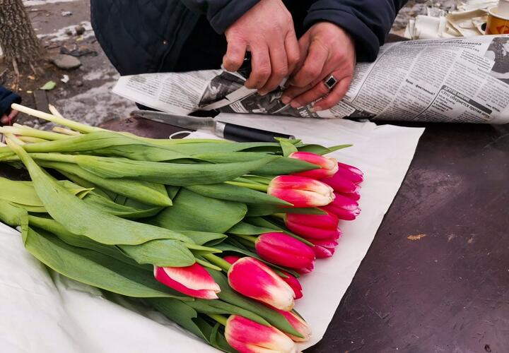 В Краснодарском крае в преддверии 8 марта работают почти 60 цветочных ярмарок