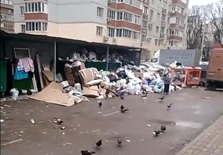 В Краснодаре местные жители жалуются на горы мусора ВИДЕО