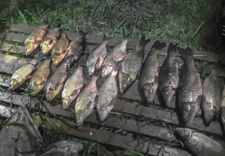 В Краснодарском крае браконьеры наловили рыбы на полмиллиона рублей