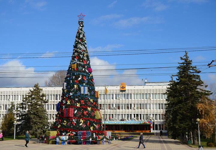 В Новороссийске ищут новогоднюю елку за полмиллиона