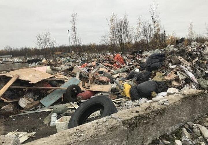 Житель Кубани заплатит штраф за стихийную свалку 