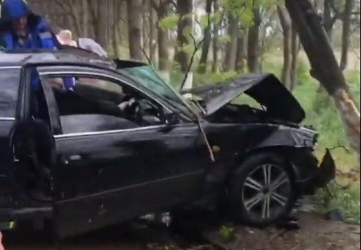 В Анапе водитель Toyota врезался в дерево и скрылся с места ДТП ВИДЕО