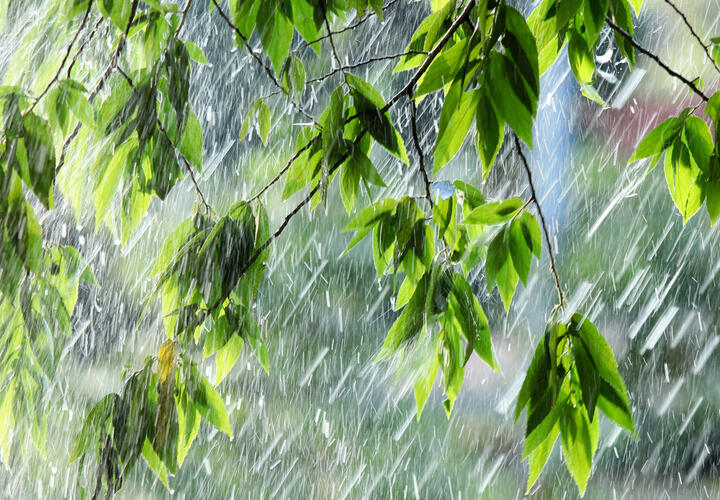 В Краснодарском крае дожди прекратятся во второй половине дня