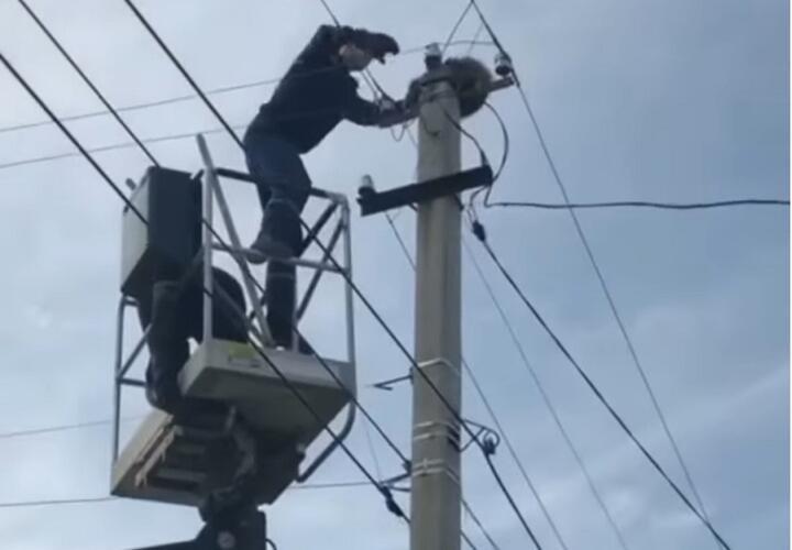 В Краснодарском крае енот забрался на столб электропередач ВИДЕО