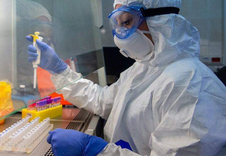 В Краснодарском крае за сутки заболели коронавирусом менее 100 человек