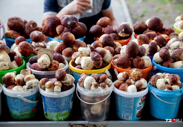 Кубанцам рекомендовали не покупать грибы на стихийных придорожных рынках