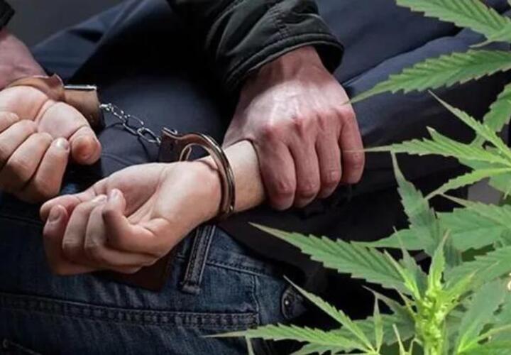На Кубани задержали мужчину, хранившего дома наркотики