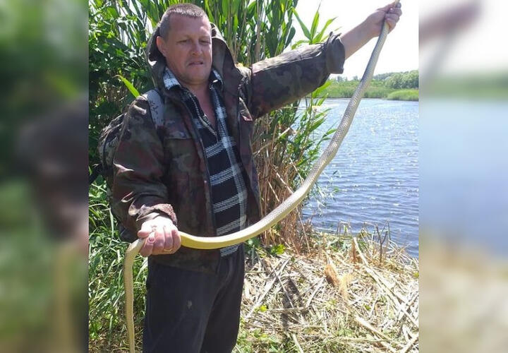 Необычный улов: житель Крымска во время рыбалки обнаружил гигантскую змею