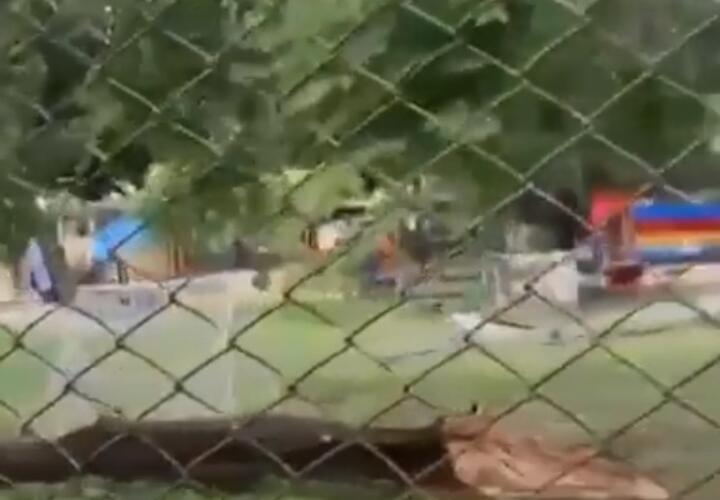 В детском саду Анапы рухнуло дерево ВИДЕО